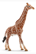 schleich Giraffe, Male