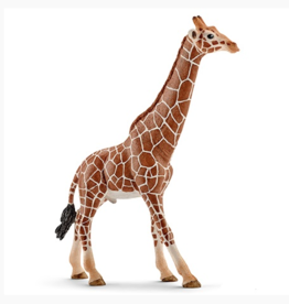 schleich Giraffe, Male