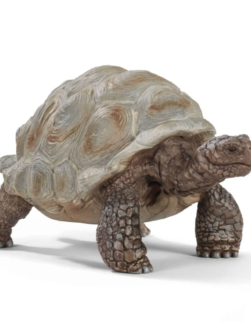 schleich Giant Tortoise