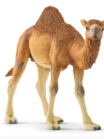 schleich Dromedary Camel