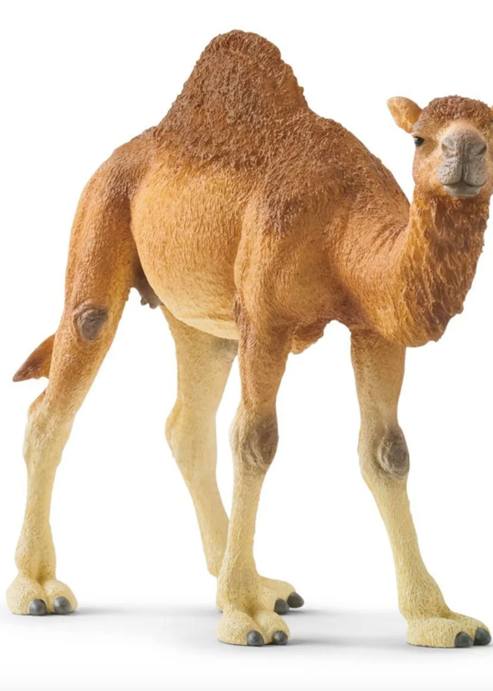 schleich Dromedary Camel