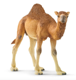 schleich Dromedary Camel
