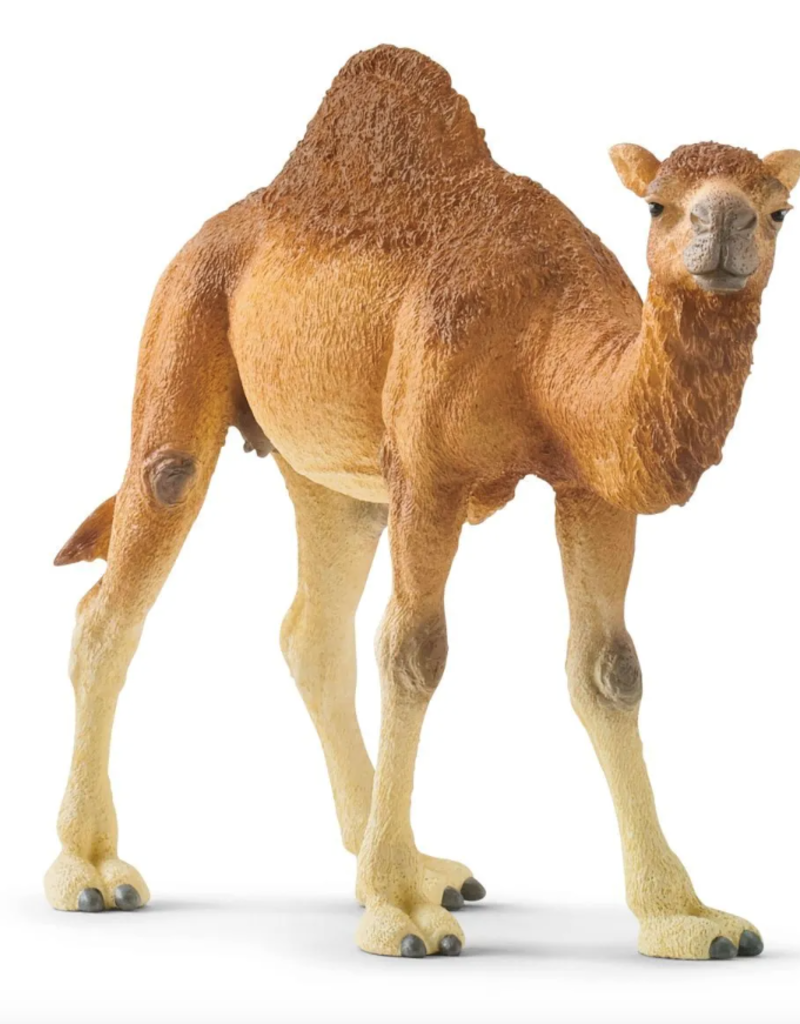 schleich Dromedary Camel
