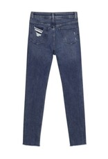 DL1961 chloe high rise: skinny eco dark distressed (performance)