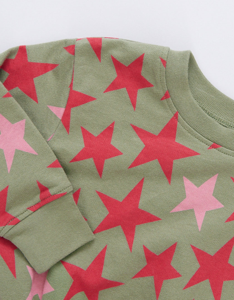 Pink Chicken Organic sweatshirt green star