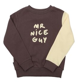 Tiny Tribe SALE Mr Nice Guy Colorblock Sweatshirt