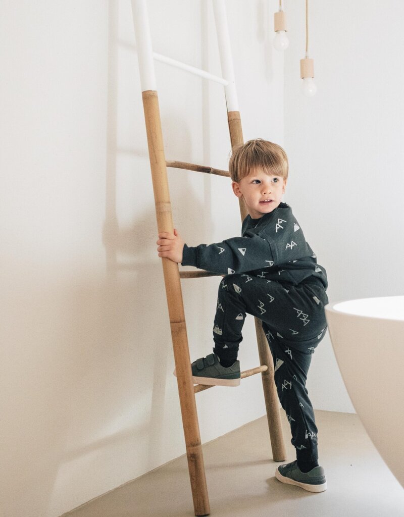 ALPS SWEATSHIRT SHADOW GRAY