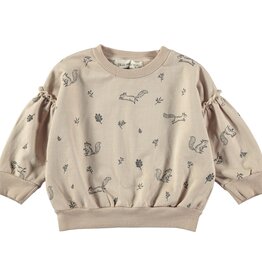 Dear Mini SALE SQUIRRELS AND FLOWERS SWEATSHIRT