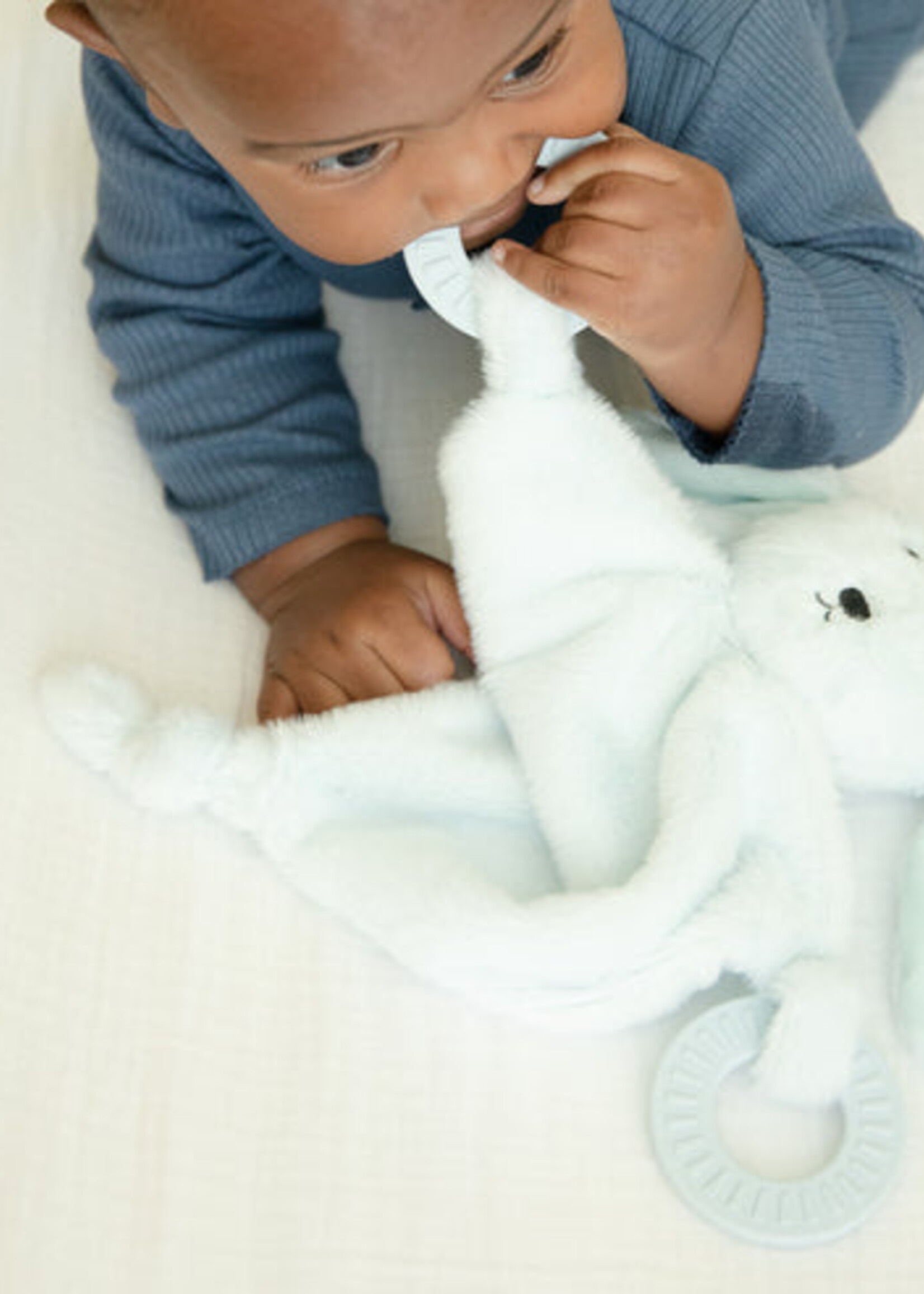 Bella Tunno Teether Buddy Dog
