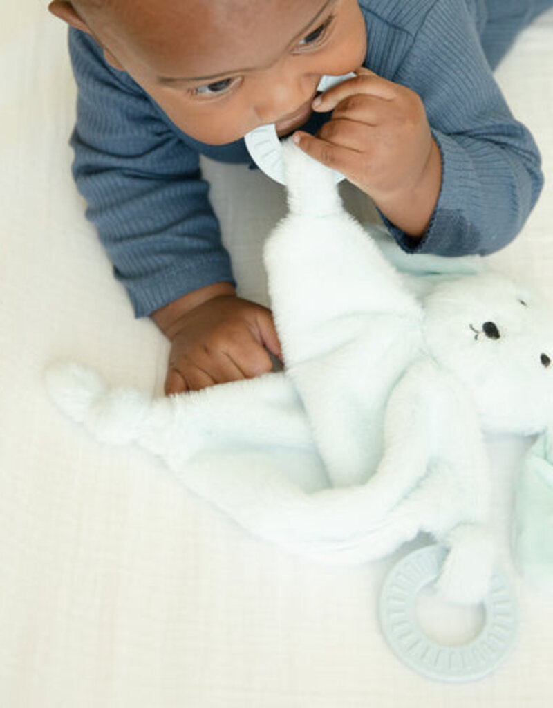 Bella Tunno Teether Buddy Dog