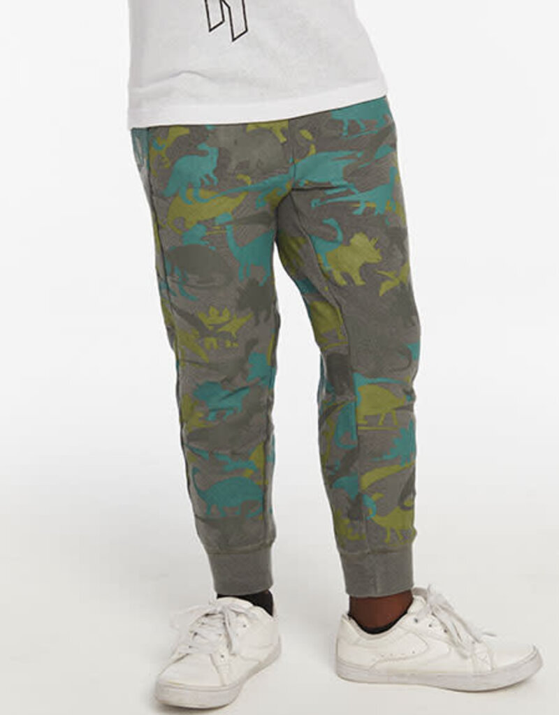 Chaser Chaser Dino Camo Pants