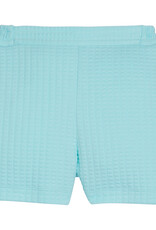 Bisby BASIC SHORTS AQUA