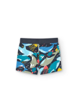 Boboli Navy Shark Print Bermuda Shorts