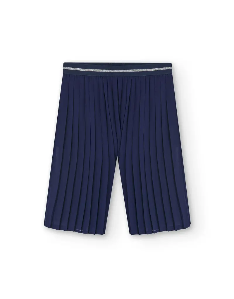 Navy Chiffon Pleated Pants