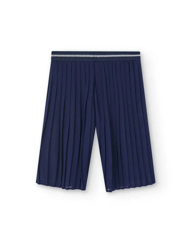 Navy Chiffon Pleated Pants