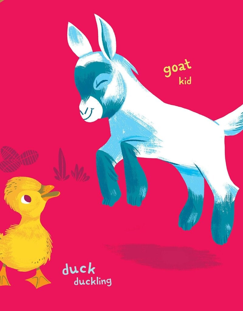 Hachette Indestructibles Baby Animals