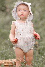 Elegant Baby Strawberry Picnic Swiss Dot Bibbed Bubble