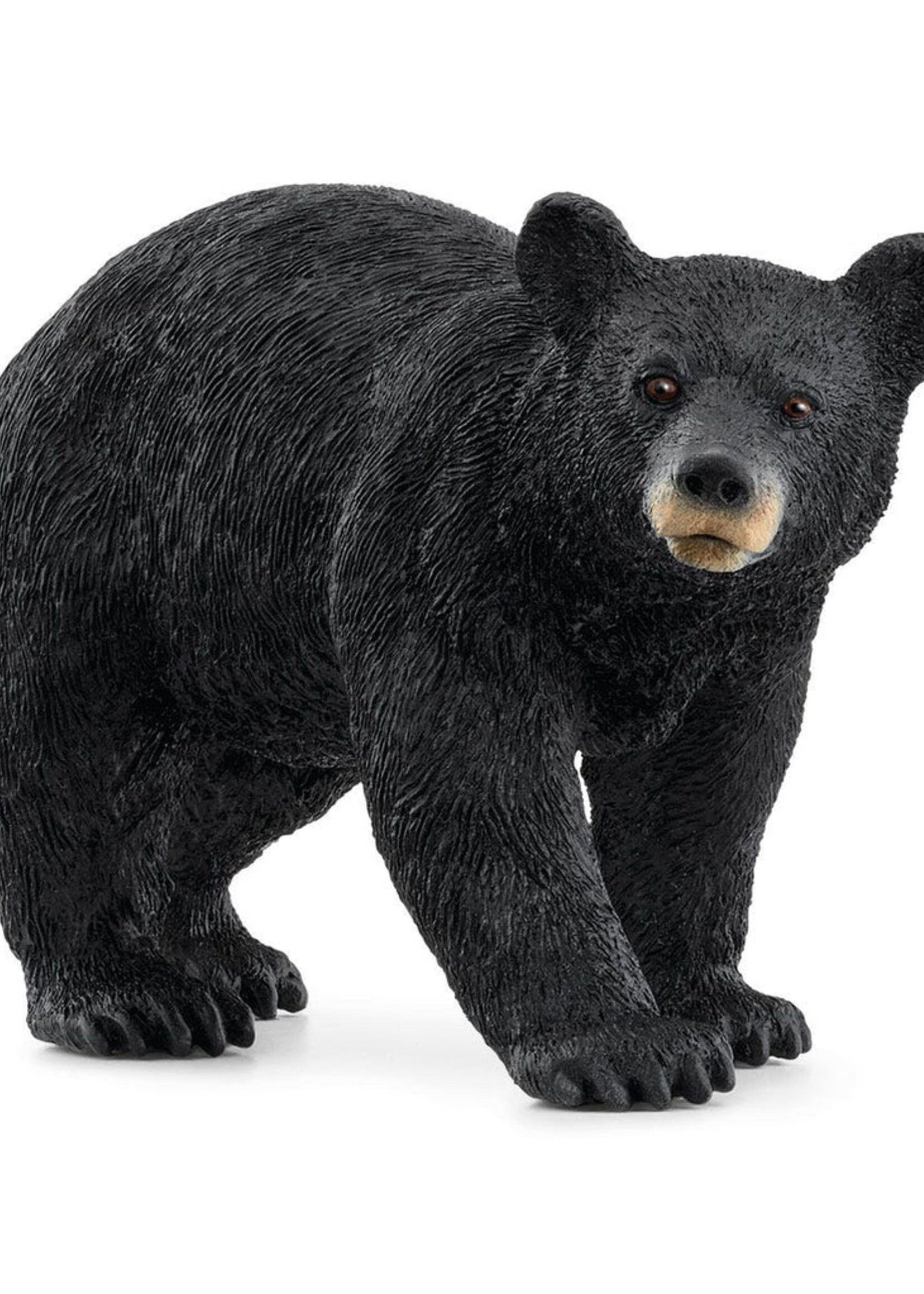 schleich American Black Bear