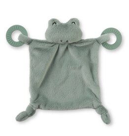 Bella Tunno Teether Buddy Frog