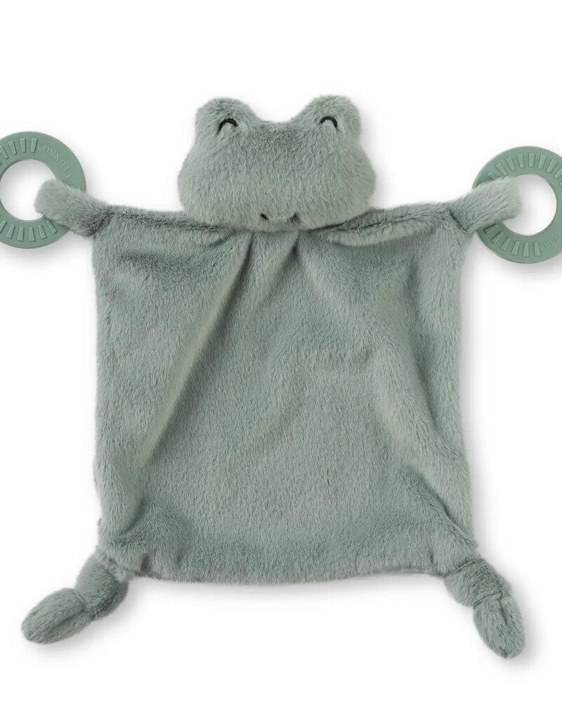 Bella Tunno Teether Buddy Frog