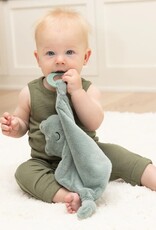 Bella Tunno Teether Buddy Frog