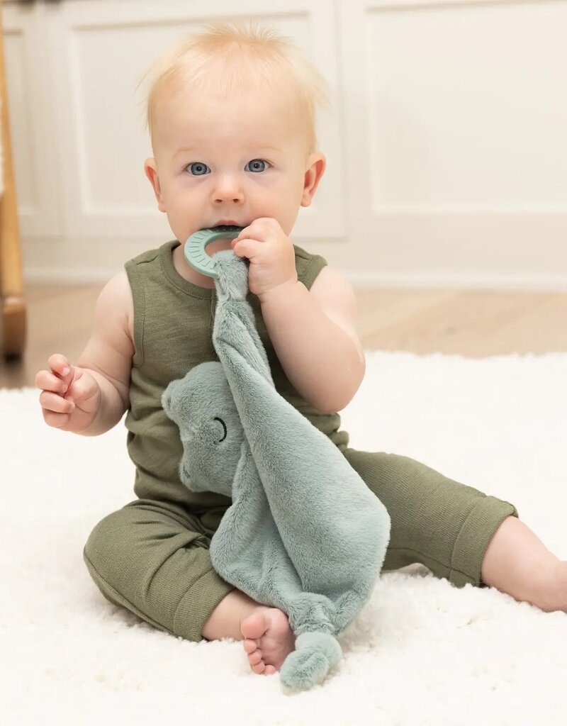 Bella Tunno Teether Buddy Frog