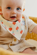 Copper Pearl Baby Bandana Bibs Set/4 Veggies