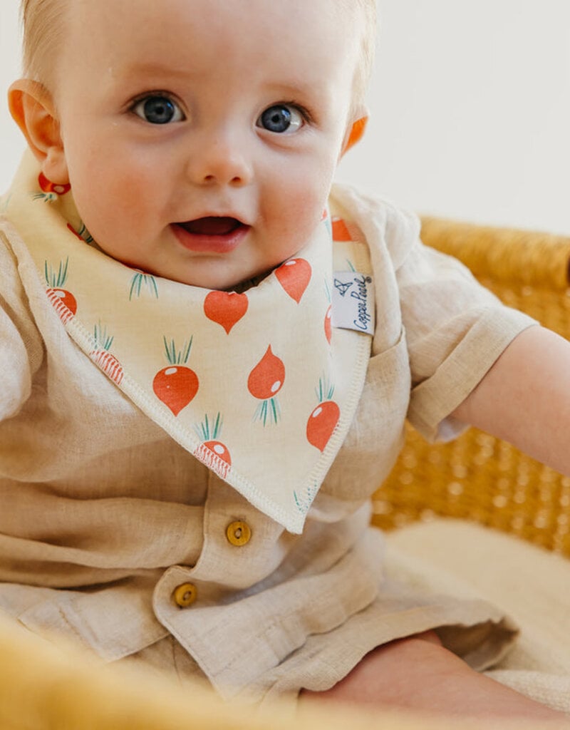 Copper Pearl Baby Bandana Bibs Set/4 Veggies