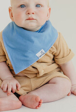 Copper Pearl Baby Bandana Bibs Set/4 Veggies