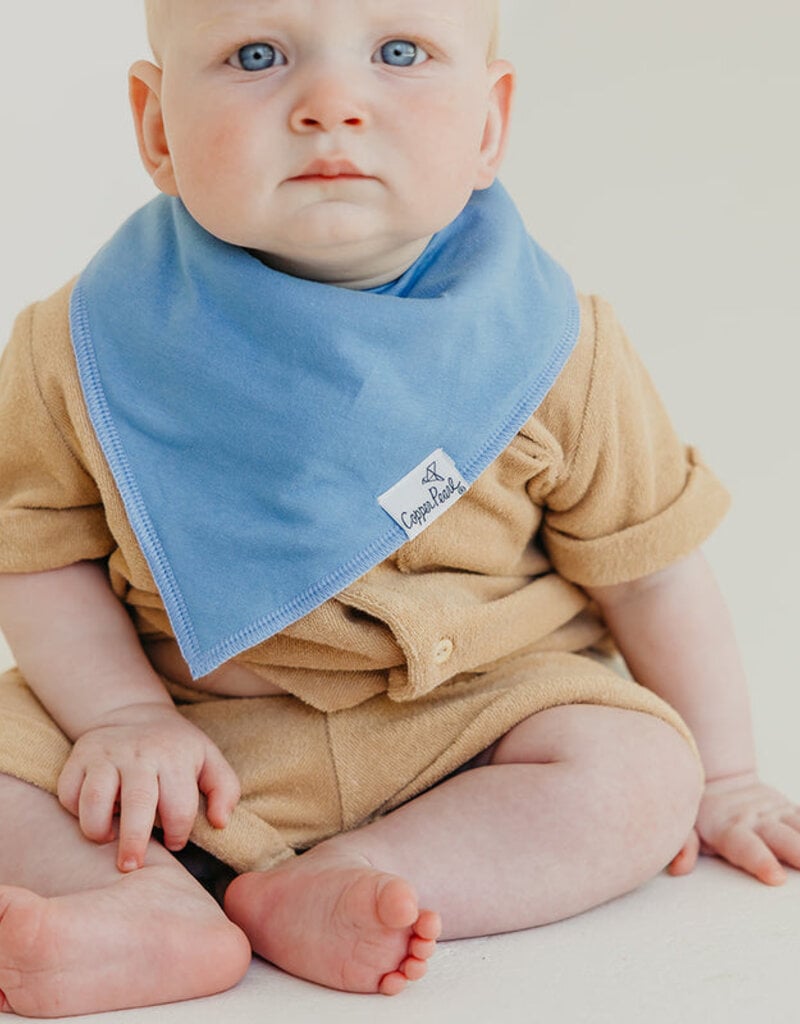 Copper Pearl Baby Bandana Bibs Set/4 Veggies