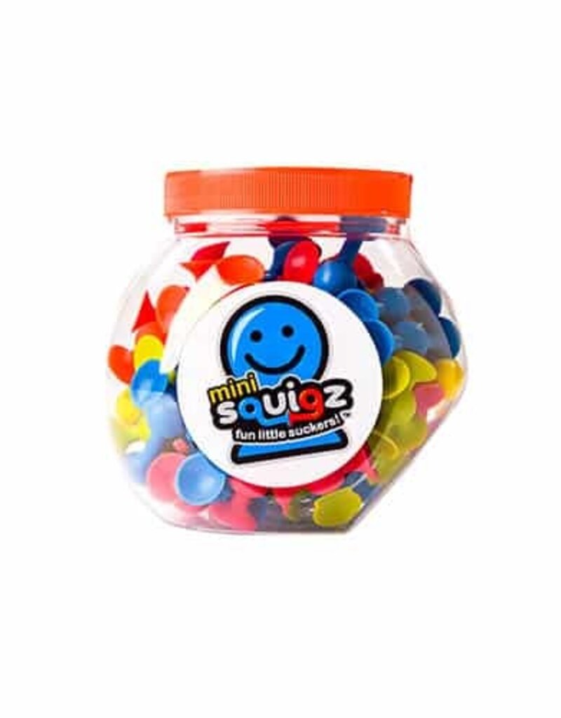 Fat Brain Mini Squigz