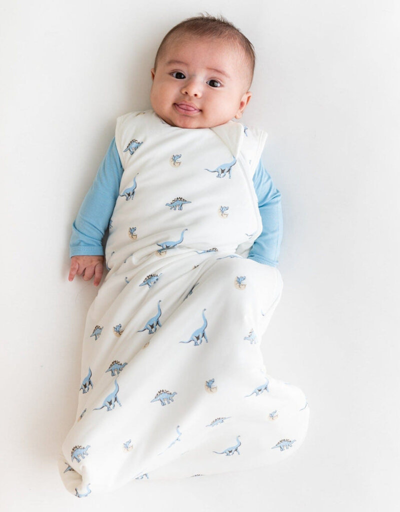 Kyte Baby Sleep Bag Jurassic 1.0 Tog