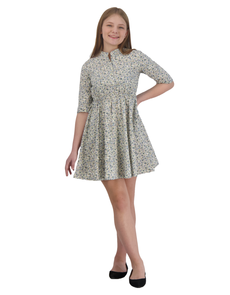 Busy Bee Gabriela Circle Skirt Dress Cream Floral