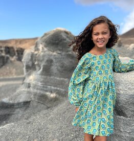 Poppet & Fox SALE Prairie Dress Green/Teal