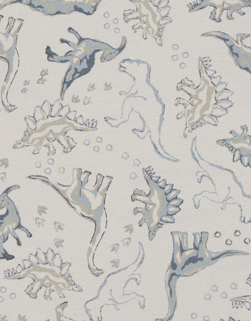 MarMar Copenhagen Dinosaurs Print 2 pc Set