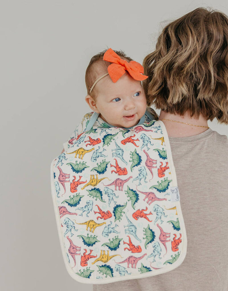 Copper Pearl Burp Cloth Set Jurassic Park