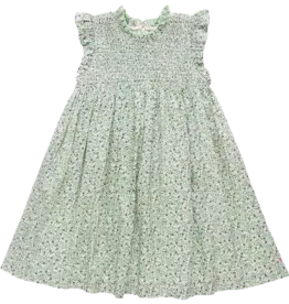 Pink Chicken SALE stevie dress green mini ditsy