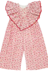 Pink Chicken raphaela jumper pink mini ditsy