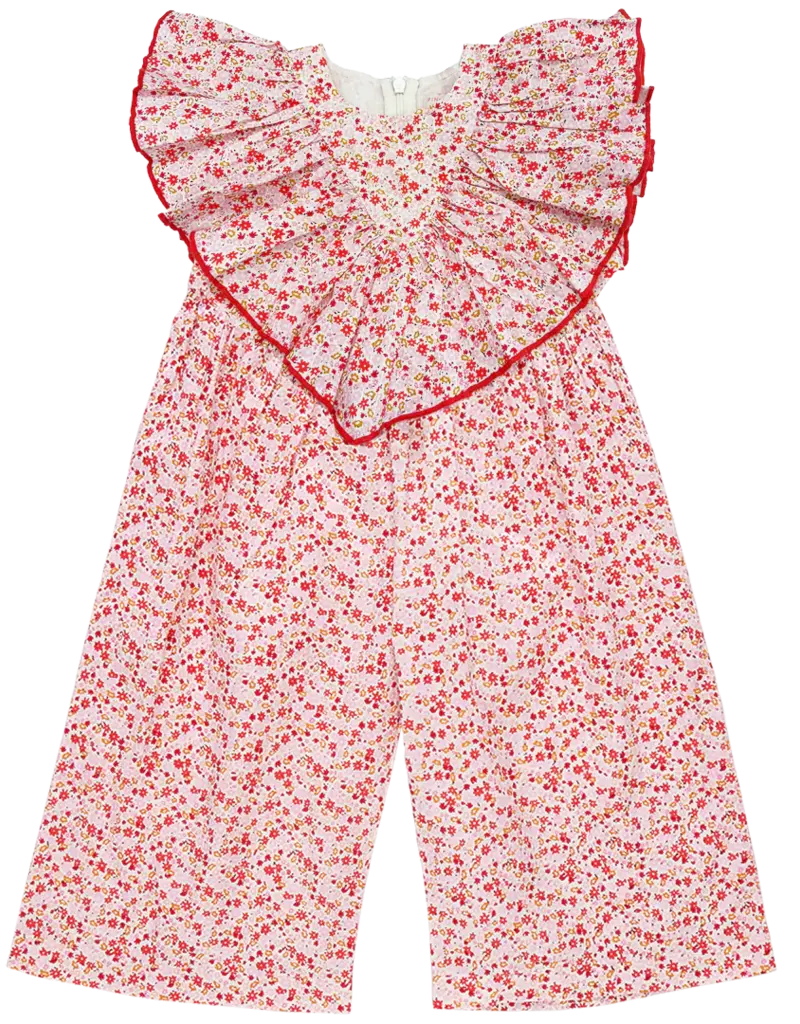 Pink Chicken raphaela jumper pink mini ditsy