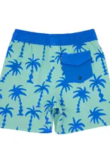 Feather 4 Arrow Wavy Palm Boardshort Beach Glass