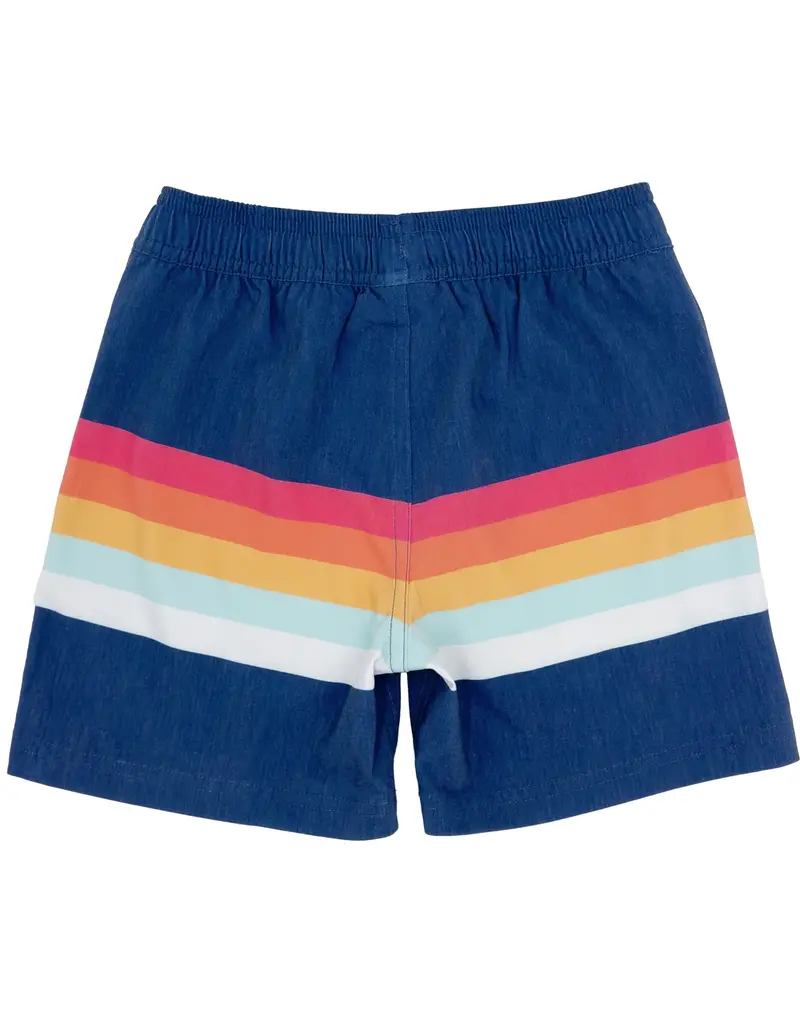 Feather 4 Arrow Vintage Stripe Volley Trunk Twilight