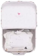 Pink Chicken nesting box baby take home set - tiny dogs