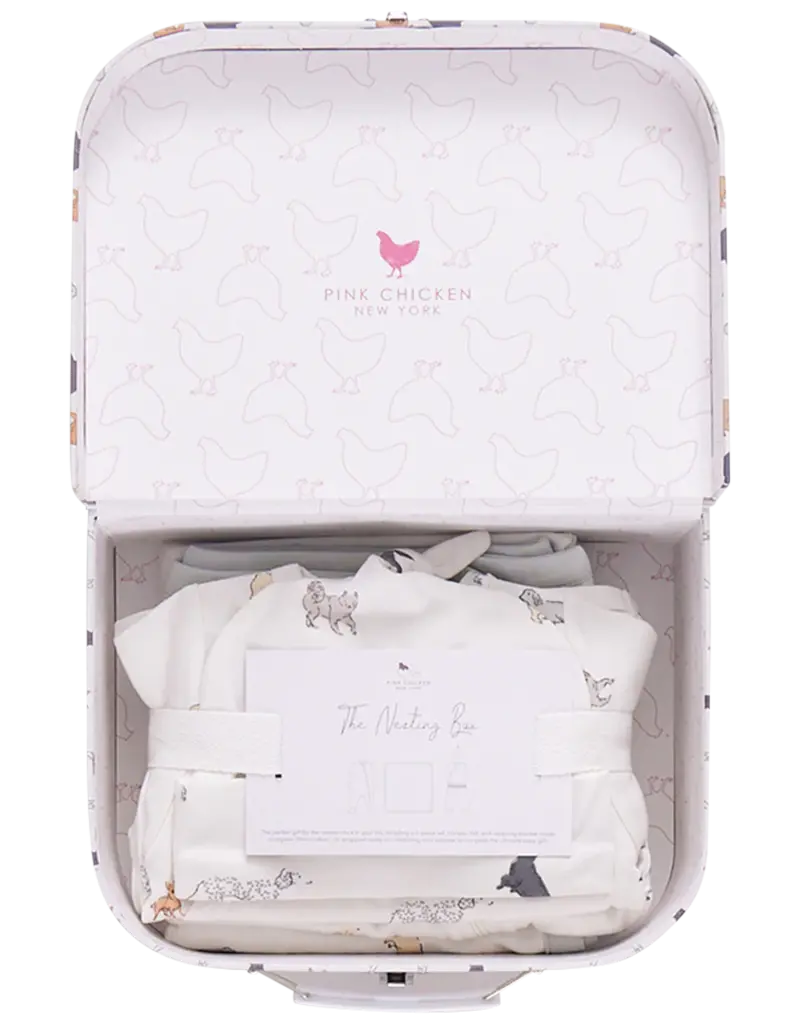 Pink Chicken nesting box baby take home set - tiny dogs