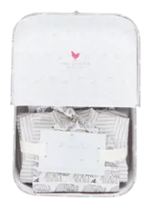 Pink Chicken nesting box take home set elephant print
