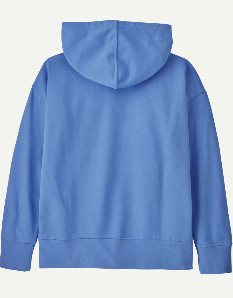Patagonia K's Hoody Sweatshirt Fitz Roy Superbloom: Abundant Blue FSMA