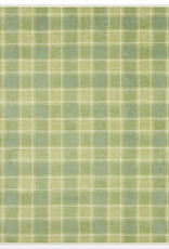 ChappyWrap Punchy Plaid Blanket