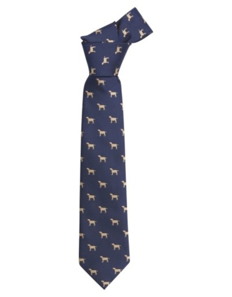 Little English Neck Tie Lab
