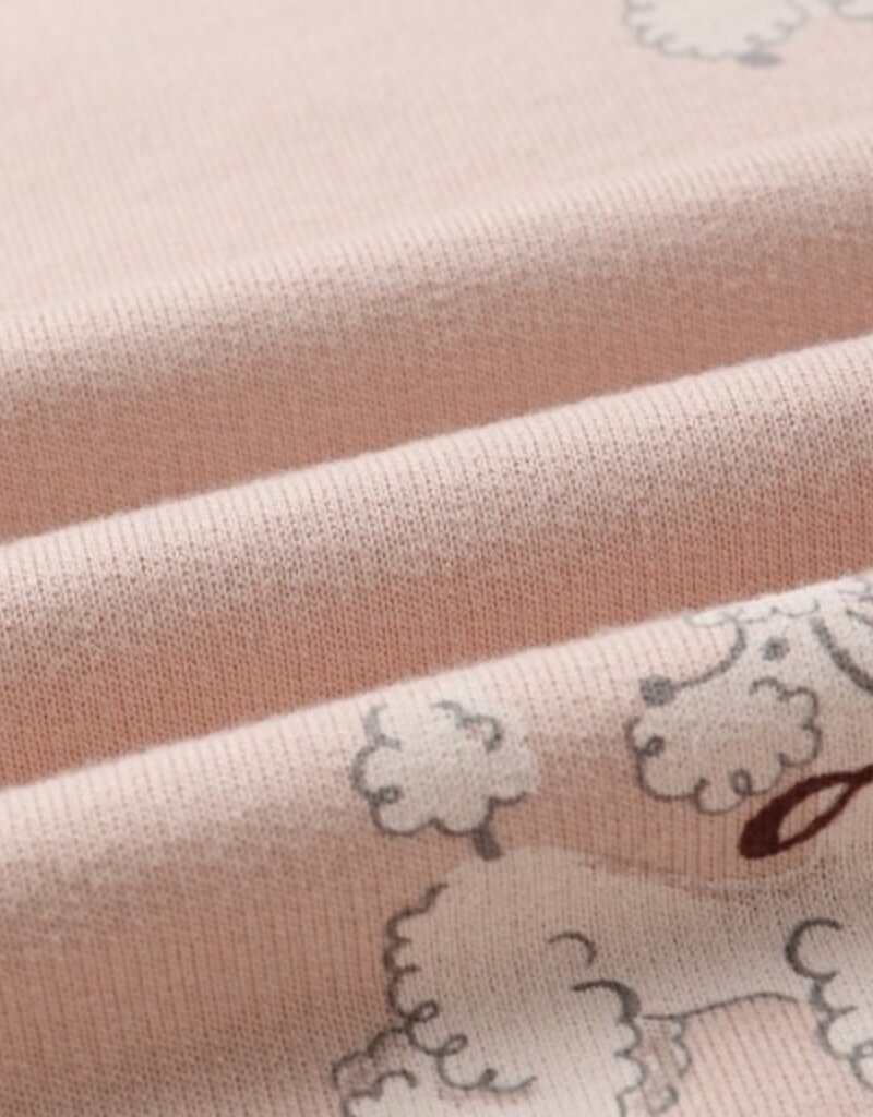 Rylee + Cru Inc. RELAXED SWEATSHIRT || POODLES BLUSH