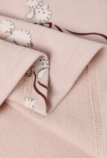 Rylee + Cru Inc. RAGLAN DRESS || POODLES BLUSH