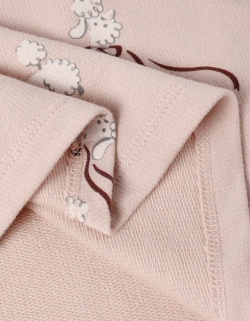 Rylee + Cru Inc. RAGLAN DRESS || POODLES BLUSH